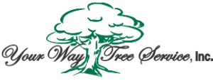 Your Way Tree Service Inc Logo